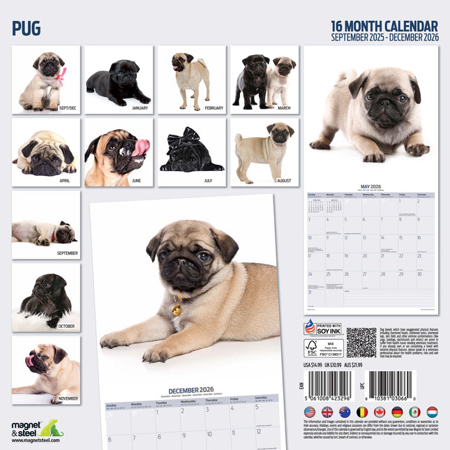 Magnet & Steel Mopshond Modern Kalender 2026