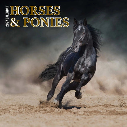 Magnet & Steel Paarden en Ponies Kalender 2027 Slimline