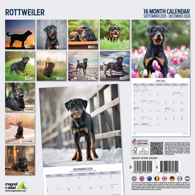 Magnet & Steel Rottweiler Kalender 2026
