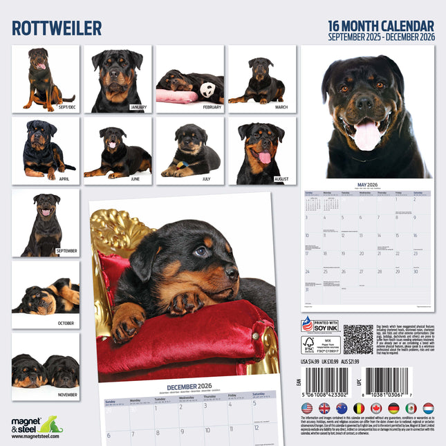 Magnet & Steel Rottweiler Modern Kalender 2026