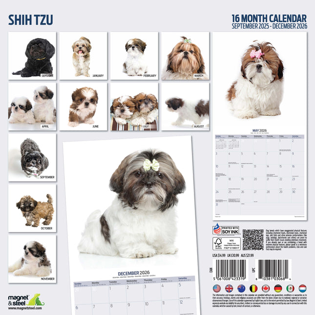 Magnet & Steel Shih Tzu Modern Kalender 2026