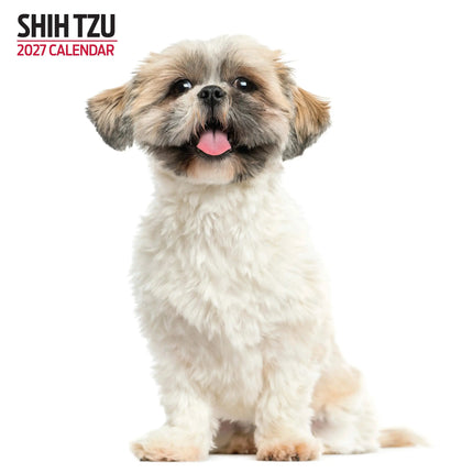 Magnet & Steel Shih Tzu Modern Kalender 2027