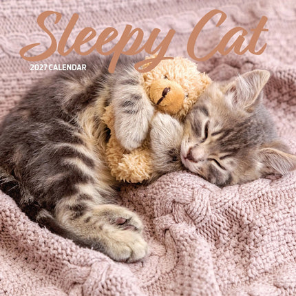 Magnet & Steel Sleepy Cat Kalender 2027