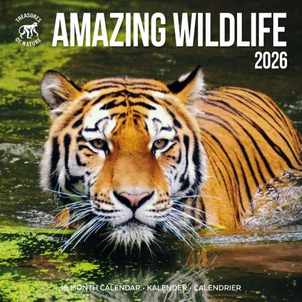 Plenty Gifts Amazing Wildlife Kalender 2026