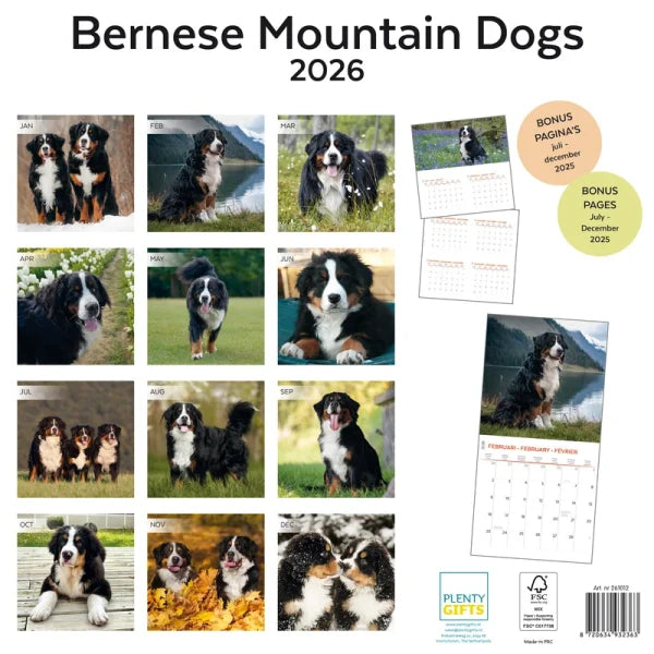 Plenty Gifts Berner Sennen Kalender 2026