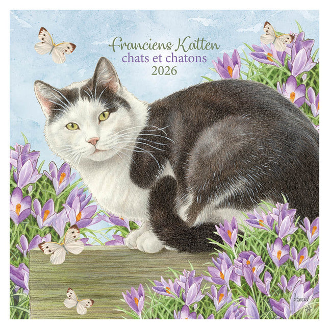 Plenty Gifts Franciens Katten Kalender 2026