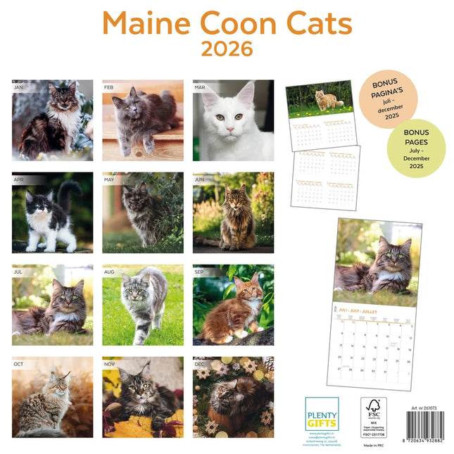 Plenty Gifts Maine Coon Kalender 2026