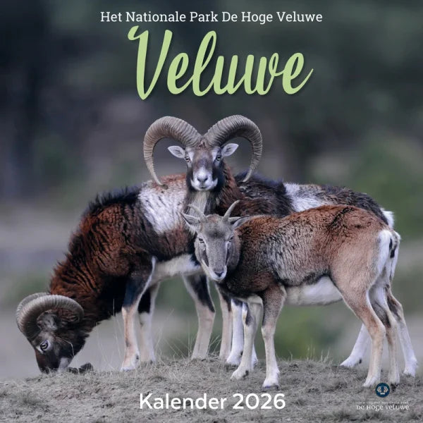 Plenty Gifts Park de Hoge Veluwe Kalender 2026