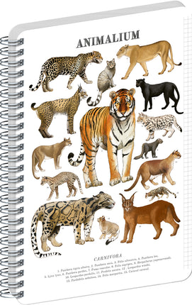 Presco Animalium – Felines Spiraal Notitieboek A5 Ruitjes
