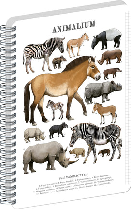 Presco Animalium – Perissodactyls Spiraal Notitieboek A4 Ruitjes