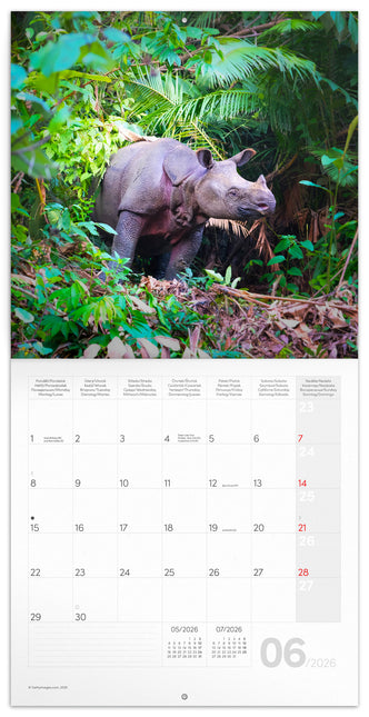 Presco Bedreigde Dieren Kalender 2026