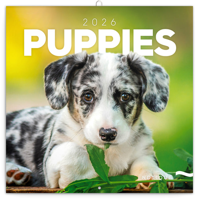 Presco Puppies Kalender 2026