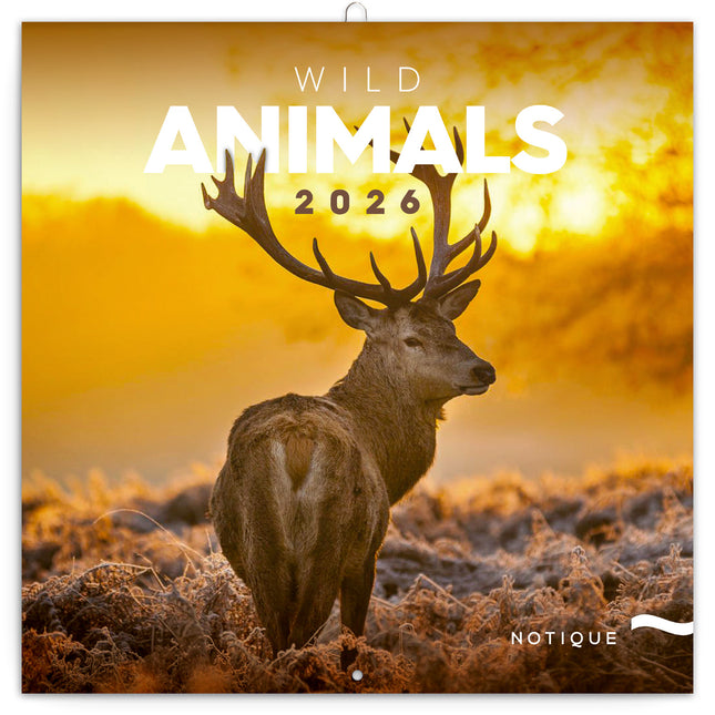 Presco Wild Animals Kalender 2026