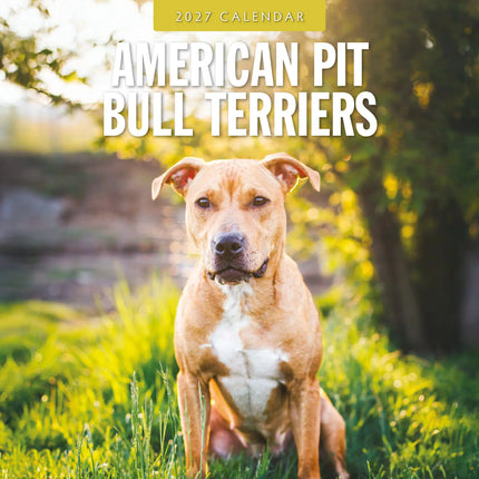 Red Robin American Pit Bull Terrier Kalender 2027