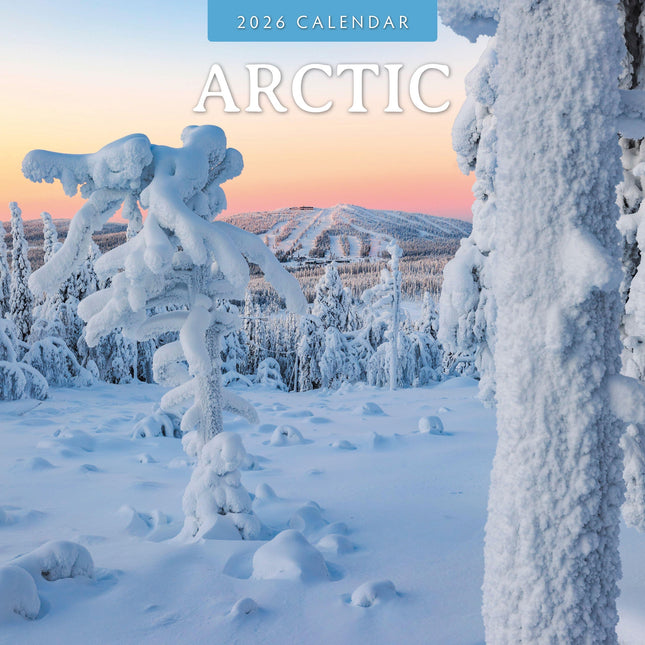 Red Robin Arctic Kalender 2026