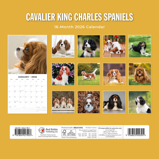 Red Robin Cavalier King Charles Spaniel Kalender 2026