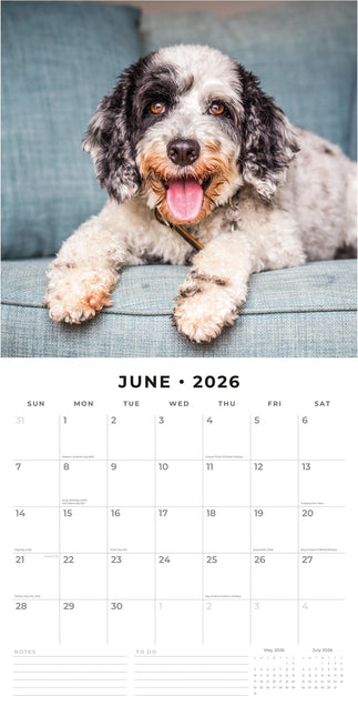 Red Robin Cockapoos Kalender 2026