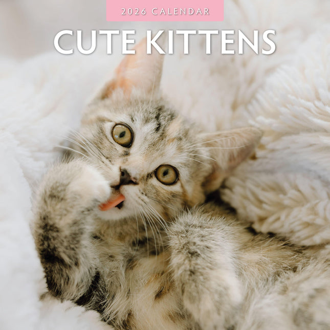 Red Robin Cute Kittens Kalender 2026