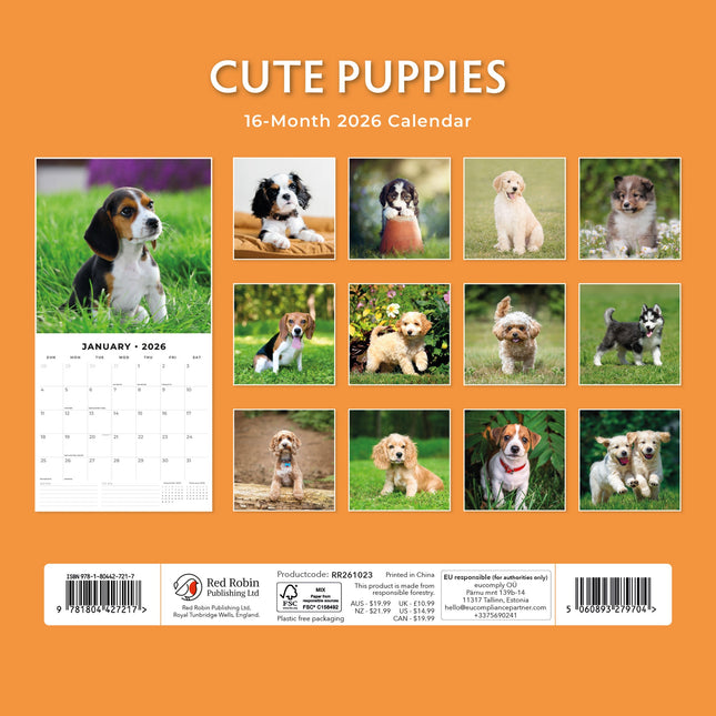 Red Robin Cute Puppies Kalender 2026