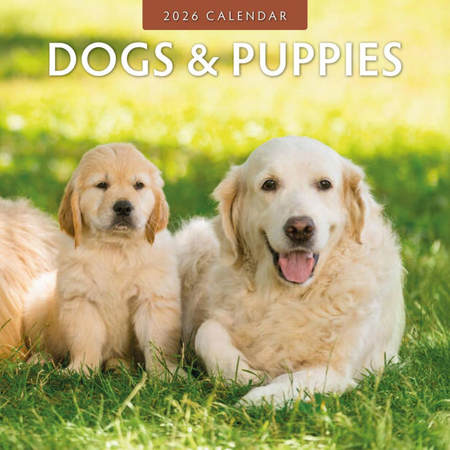 Red Robin Dogs and Puppies Kalender 2026
