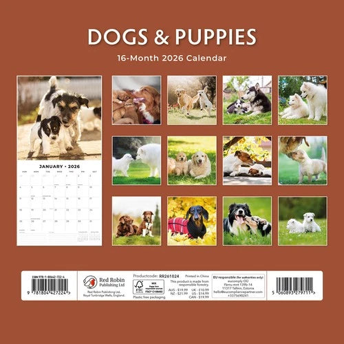Red Robin Dogs and Puppies Kalender 2026