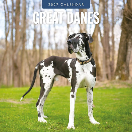 Red Robin Duitse Dog Kalender 2027
