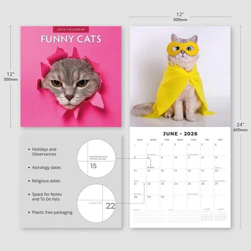 Red Robin Funny Cats Kalender 2026