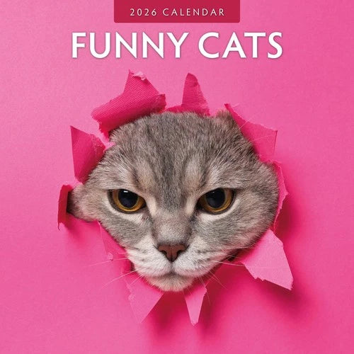 Red Robin Funny Cats Kalender 2026