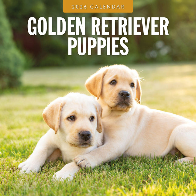 Red Robin Golden Retriever Puppies Kalender 2026