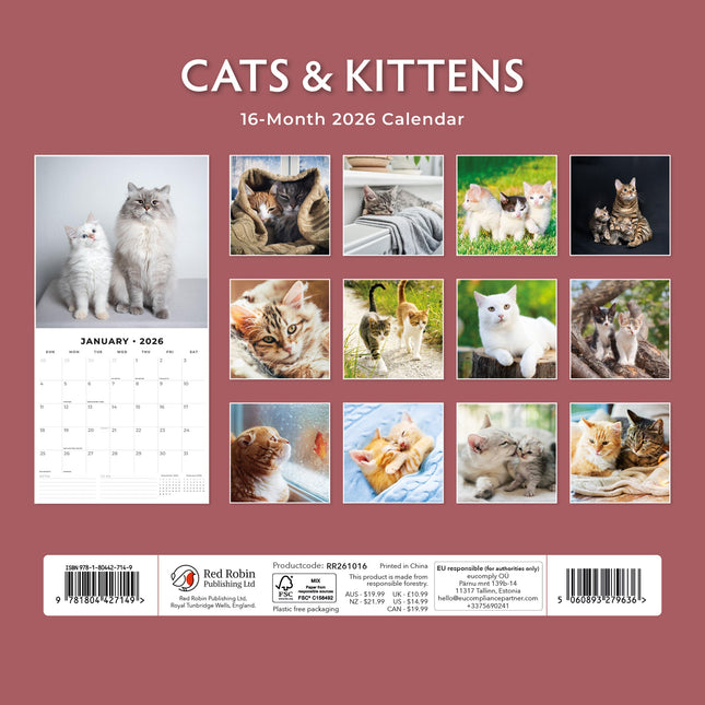 Red Robin Katten en Kittens Kalender 2026