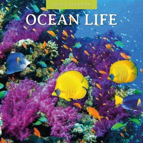 Red Robin Ocean Life Kalender 2026