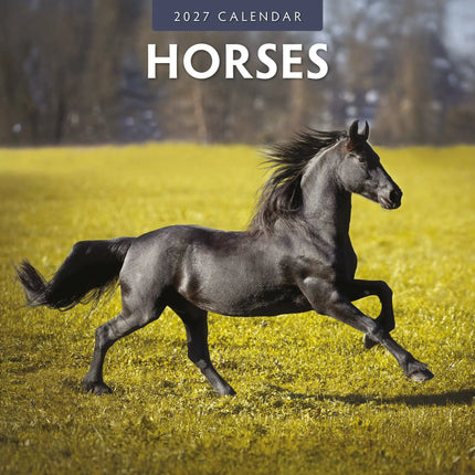 Red Robin Paarden Kalender 2027