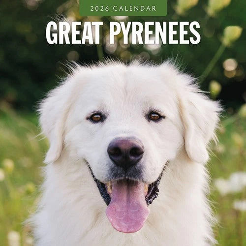 Red Robin Pyreneese Berghond Kalender 2026