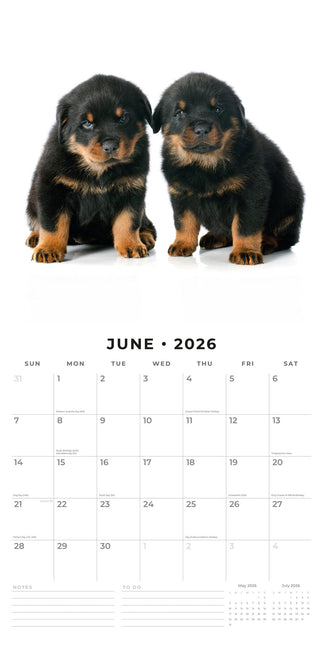 Red Robin Rottweiler Puppies Kalender 2026