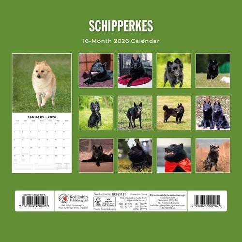 Red Robin Schipperke Kalender 2026