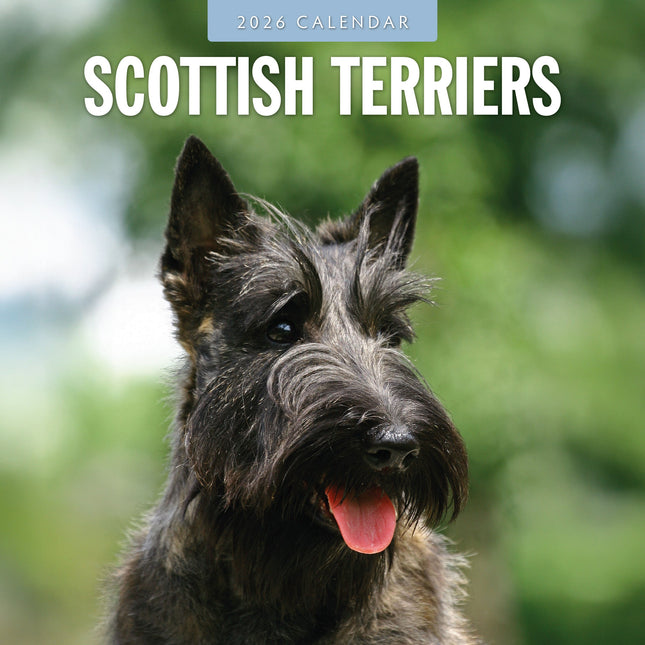 Red Robin Schotse Terrier Kalender 2026