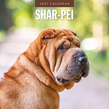 Red Robin Shar Pei Kalender 2027