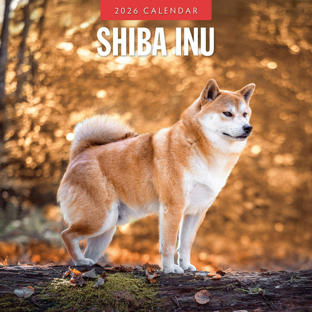 Red Robin Shiba Inu Kalender 2026