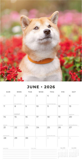 Red Robin Shiba Inu Kalender 2026