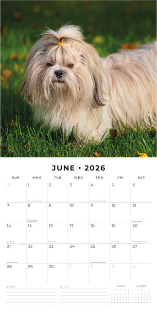 Red Robin Shih Tzu Kalender 2026