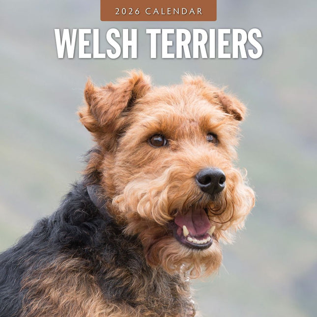Red Robin Welsh Terrier Kalender 2026