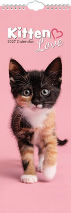 The Gifted Stationary Cute Kittens Slimline Kalender 2027