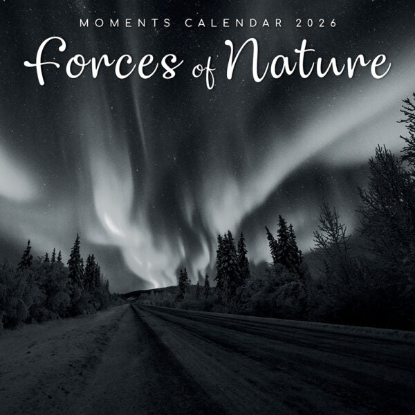 The Gifted Stationary Forces of Nature Kalender 2026