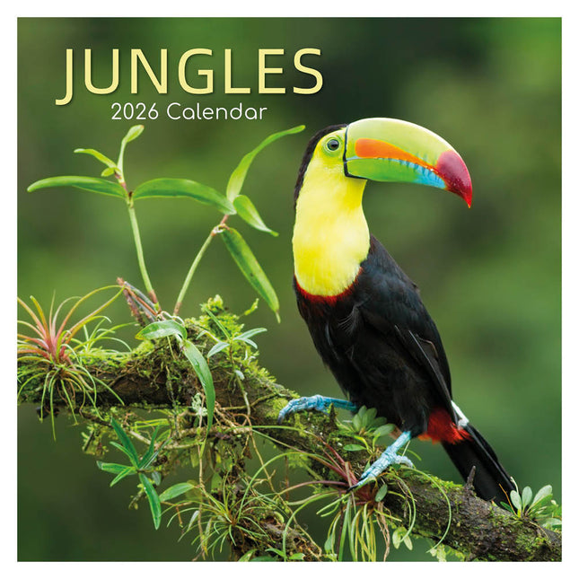The Gifted Stationary Jungles Kalender 2026