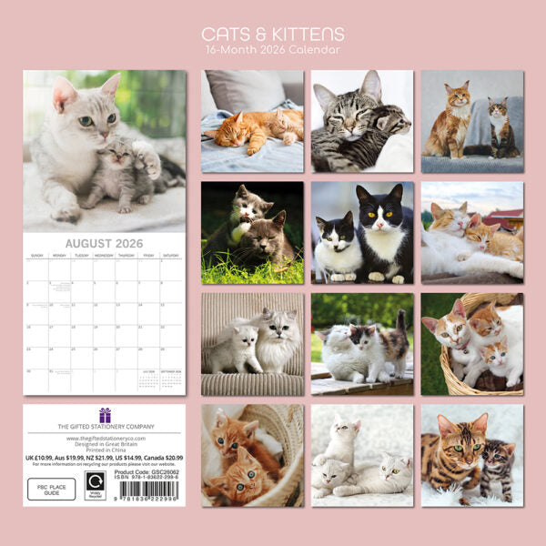 The Gifted Stationary Katten & Kittens Kalender 2026