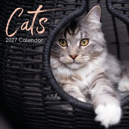 The Gifted Stationary Katten Portretten Kalender 2027