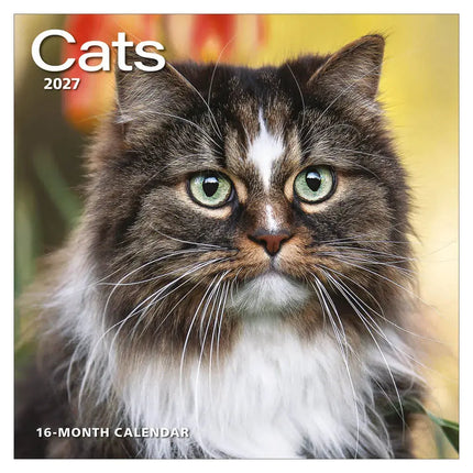 TL Turner Katten Kalender 2027