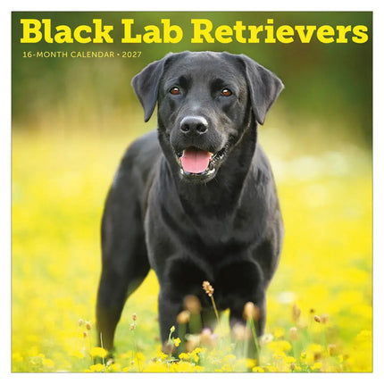 TL Turner Labrador Retriever Zwart Kalender 2027