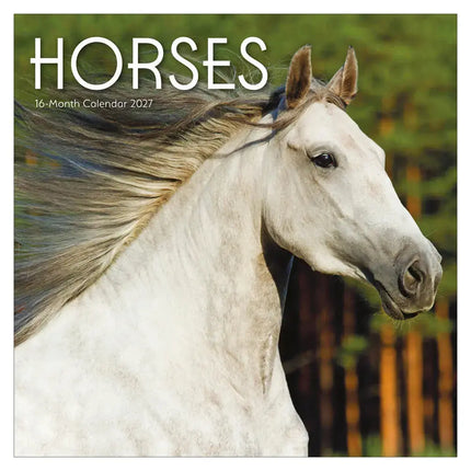 TL Turner Paarden Kalender 2027