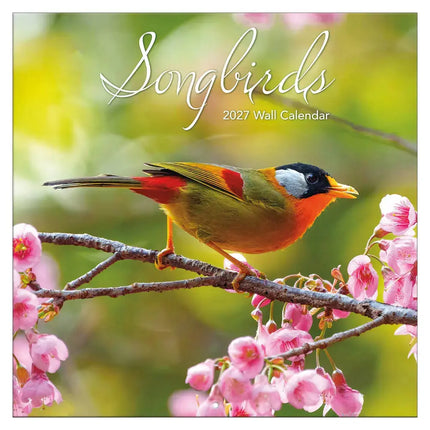 TL Turner Songbirds Kalender 2027